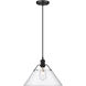 Orwell 1 Light 14 inch Matte Black Pendant Ceiling Light